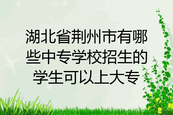 湖北省荆州市有哪些中专学校招生的学生可以上大专