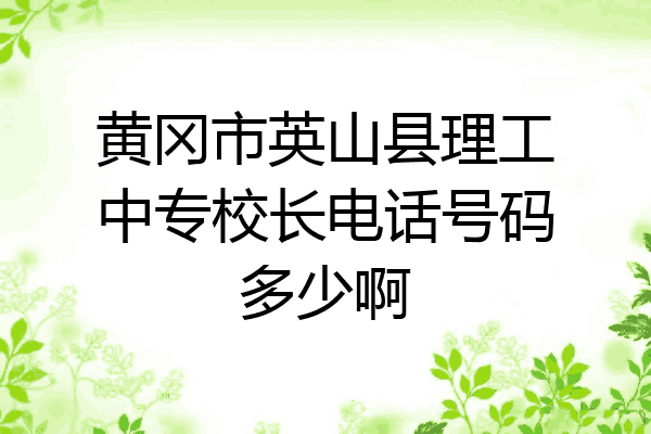 黄冈市英山县理工中专校长电话号码多少啊