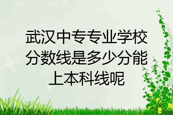 武汉中专专业学校分数线是多少分能上本科线呢