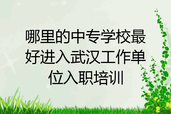 哪里的中专学校最好进入武汉工作单位入职培训