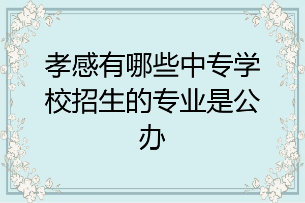 孝感有哪些中专学校招生的专业是公办