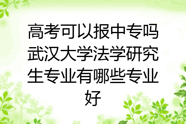 高考可以报中专吗武汉大学法学研究生专业有哪些专业好