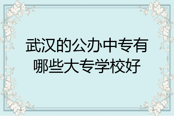 武汉的公办中专有哪些大专学校好