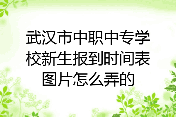 武汉市中职中专学校新生报到时间表图片怎么弄的