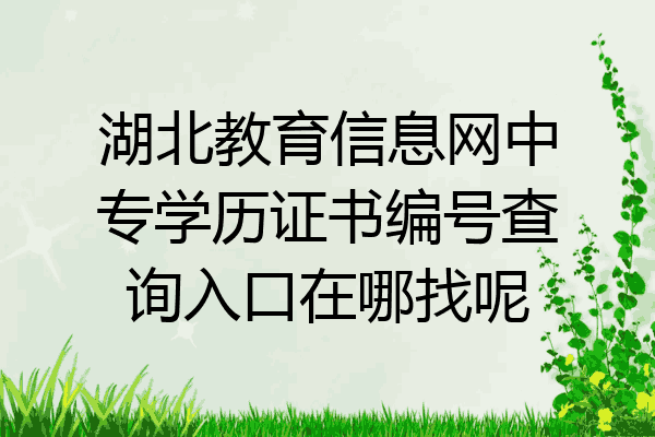 湖北教育信息网中专学历证书编号查询入口在哪找呢