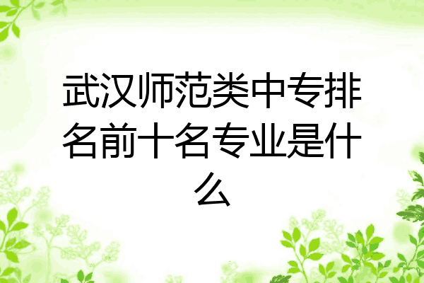 武汉师范类中专排名前十名专业是什么