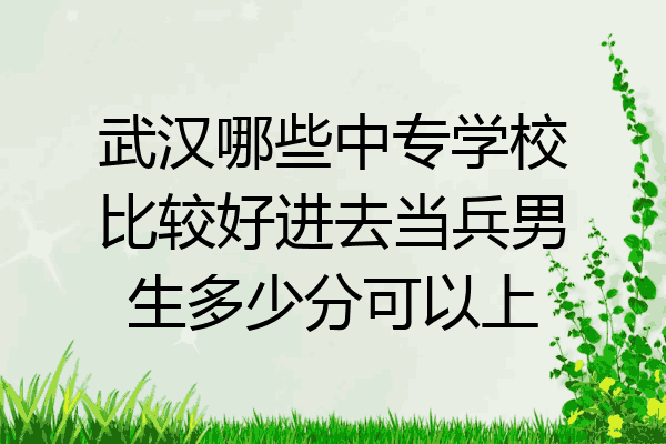 武汉哪些中专学校比较好进去当兵男生多少分可以上