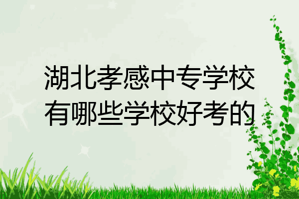 湖北孝感中专学校有哪些学校好考的