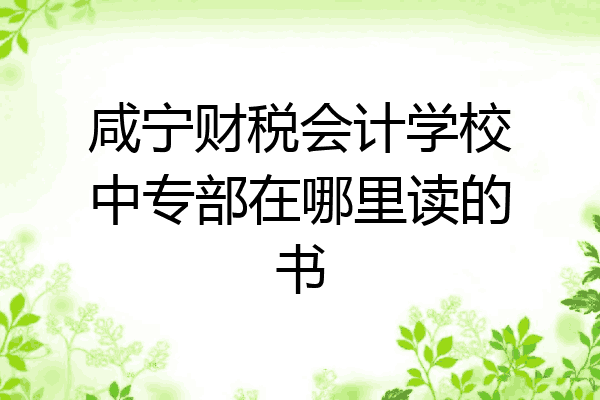 咸宁财税会计学校中专部在哪里读的书