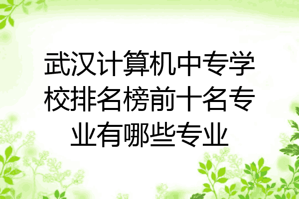 武汉计算机中专学校排名榜前十名专业有哪些专业