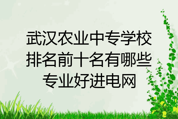 武汉农业中专学校排名前十名有哪些专业好进电网