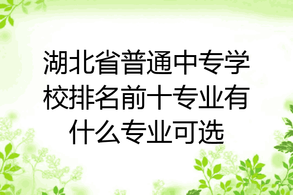 湖北省普通中专学校排名前十专业有什么专业可选