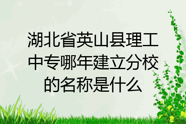 湖北省英山县理工中专哪年建立分校的名称是什么