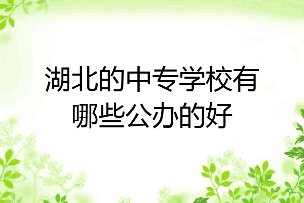 湖北的中专学校有哪些公办的好
