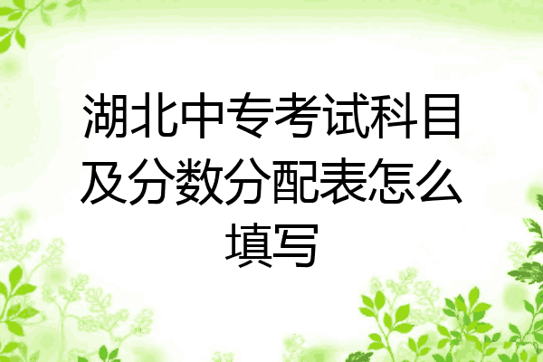 湖北中专考试科目及分数分配表怎么填写