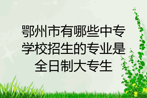 鄂州市有哪些中专学校招生的专业是全日制大专生