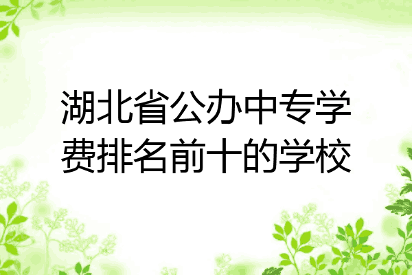 湖北省公办中专学费排名前十的学校