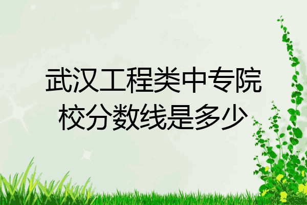 武汉工程类中专院校分数线是多少