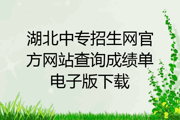 湖北中专招生网官方网站查询成绩单电子版下载