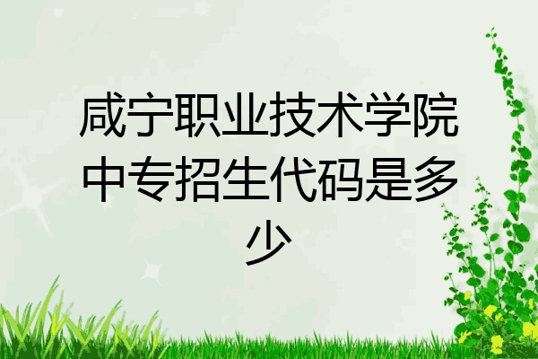 咸宁职业技术学院中专招生代码是多少