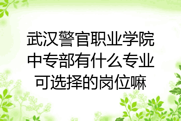 武汉警官职业学院中专部有什么专业可选择的岗位嘛