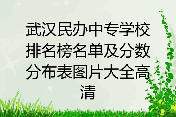 武汉民办中专学校排名榜名单及分数分布表图片大全高清