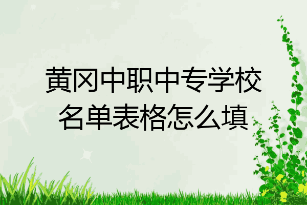 黄冈中职中专学校名单表格怎么填