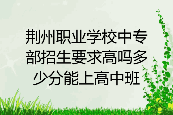荆州职业学校中专部招生要求高吗多少分能上高中班