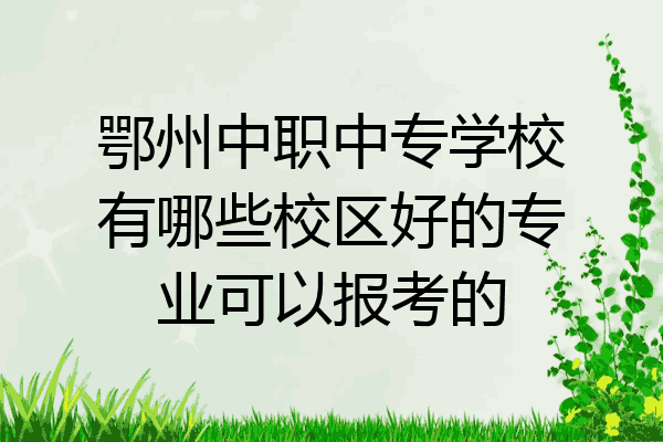 鄂州中职中专学校有哪些校区好的专业可以报考的