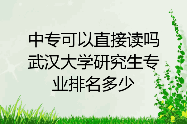 中专可以直接读吗武汉大学研究生专业排名多少