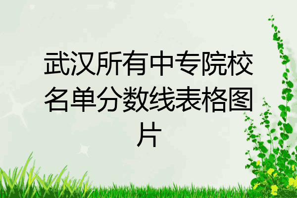武汉所有中专院校名单分数线表格图片