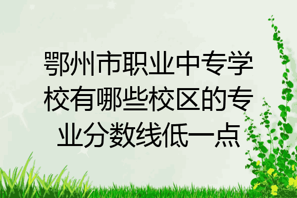 鄂州市职业中专学校有哪些校区的专业分数线低一点