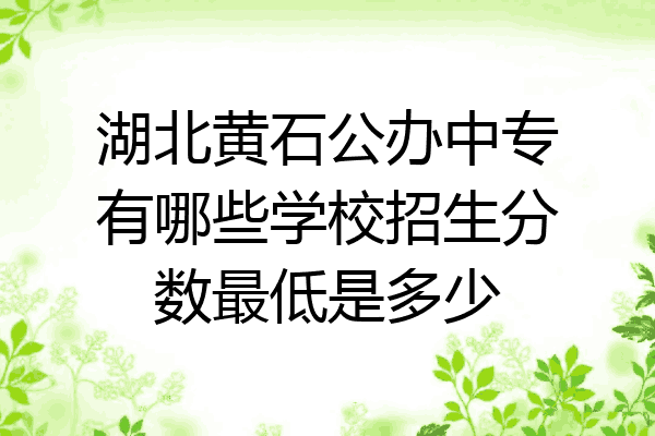 湖北黄石公办中专有哪些学校招生分数最低是多少