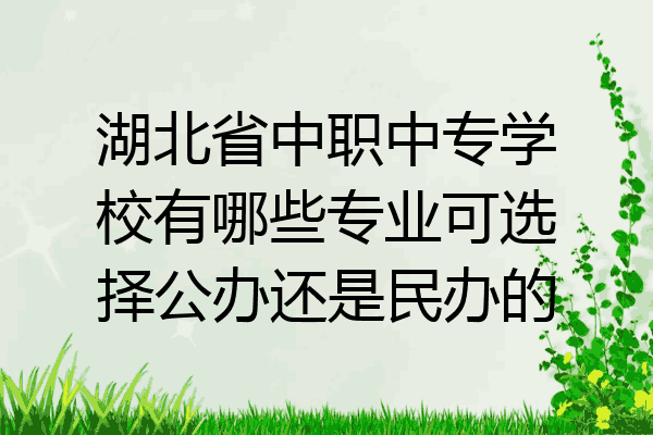 湖北省中职中专学校有哪些专业可选择公办还是民办的