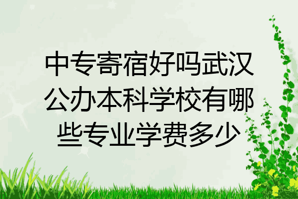 中专寄宿好吗武汉公办本科学校有哪些专业学费多少