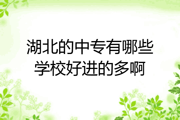 湖北的中专有哪些学校好进的多啊