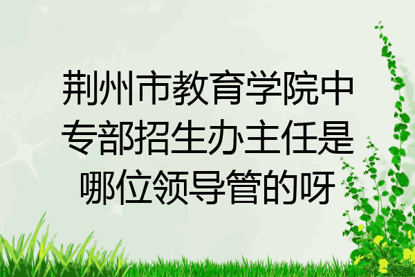 荆州市教育学院中专部招生办主任是哪位领导管的呀