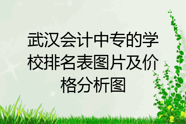 武汉会计中专的学校排名表图片及价格分析图