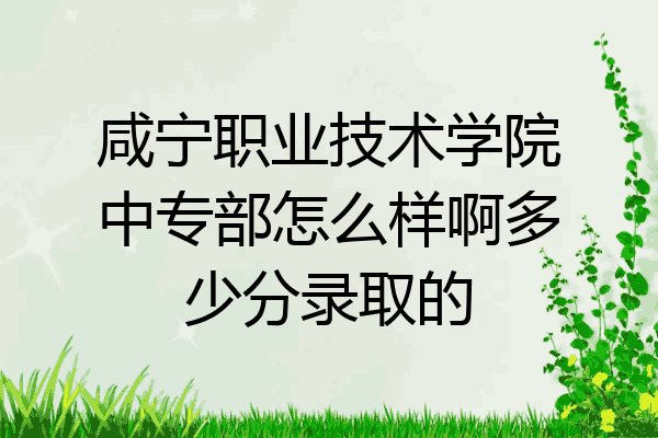 咸宁职业技术学院中专部怎么样啊多少分录取的