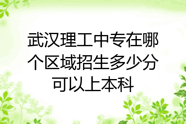 武汉理工中专在哪个区域招生多少分可以上本科