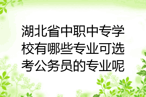 湖北省中职中专学校有哪些专业可选考公务员的专业呢