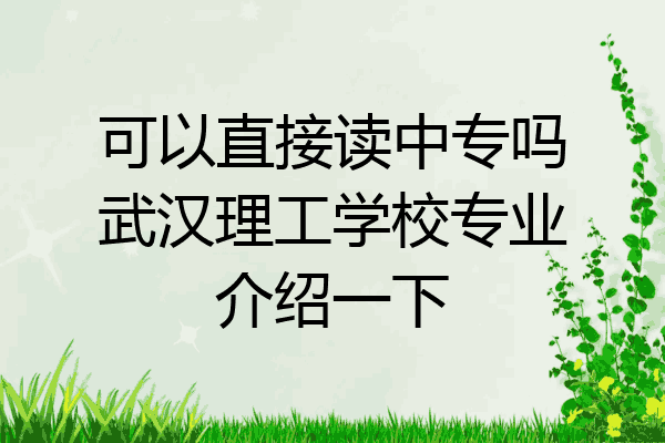 可以直接读中专吗武汉理工学校专业介绍一下