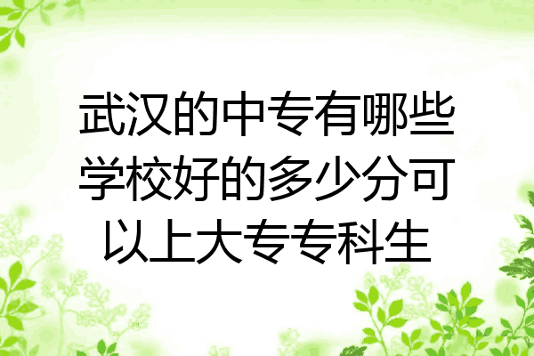 武汉的中专有哪些学校好的多少分可以上大专专科生