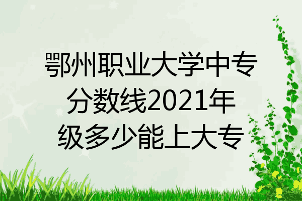 鄂州职业大学中专分数线2021年级多少能上大专