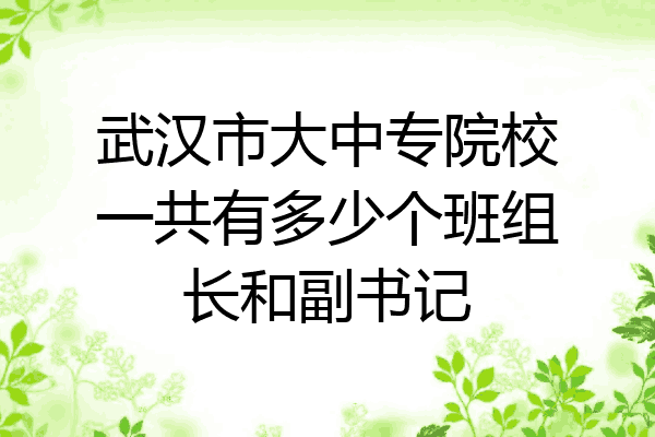 武汉市大中专院校一共有多少个班组长和副书记