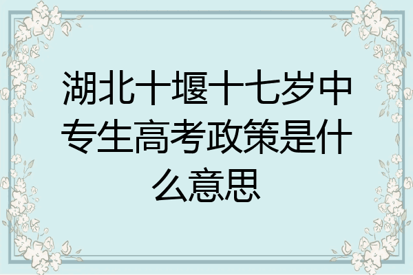 湖北十堰十七岁中专生高考政策是什么意思