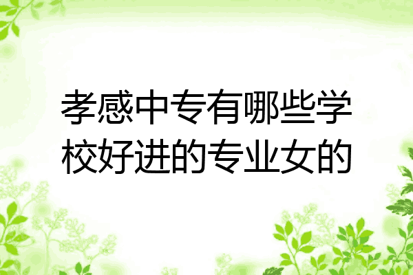 孝感中专有哪些学校好进的专业女的