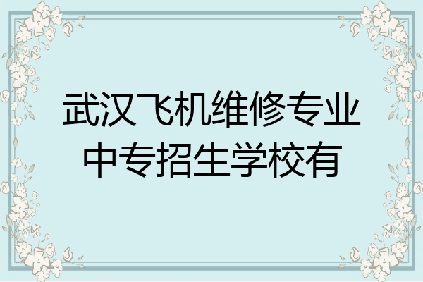 武汉飞机维修专业中专招生学校有