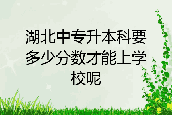 湖北中专升本科要多少分数才能上学校呢