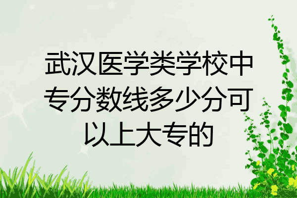 武汉医学类学校中专分数线多少分可以上大专的